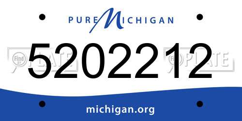 5202212 Michigan License Plate