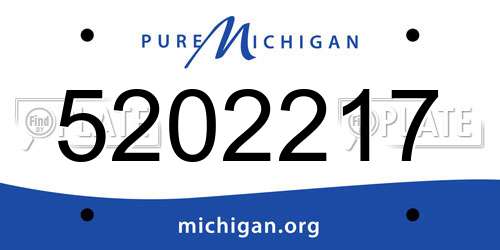 5202217 Michigan License Plate