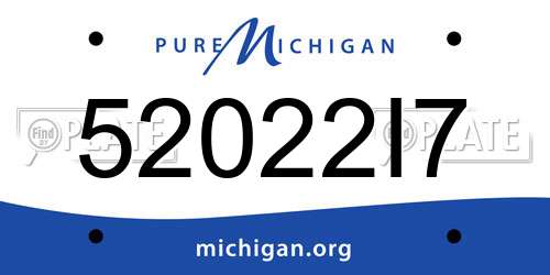 52022I7 Michigan License Plate