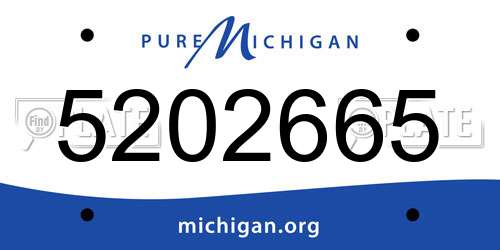 5202665 Michigan License Plate