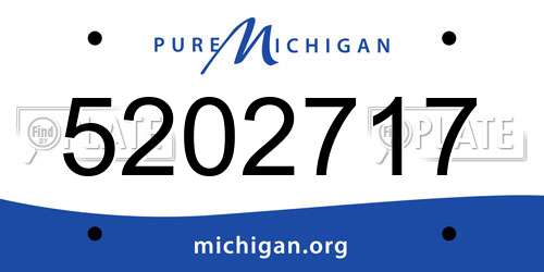 5202717 Michigan License Plate