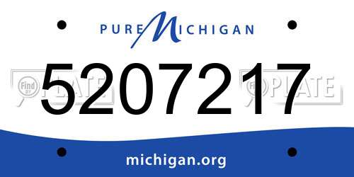 5207217 Michigan License Plate