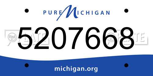 5207668 Michigan License Plate