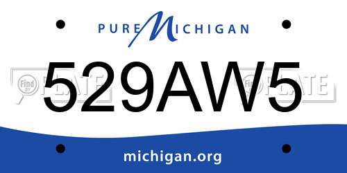 529AW5 Michigan License Plate