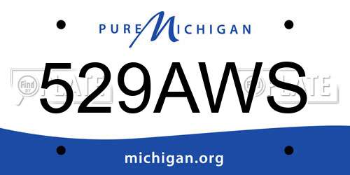 529AWS Michigan License Plate
