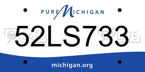 52LS733 Michigan License Plate