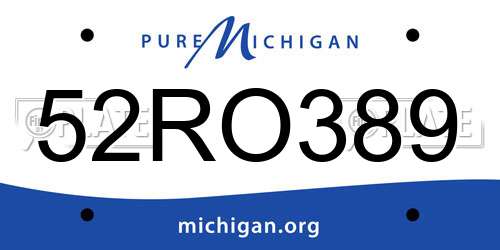 52RO389 Michigan License Plate