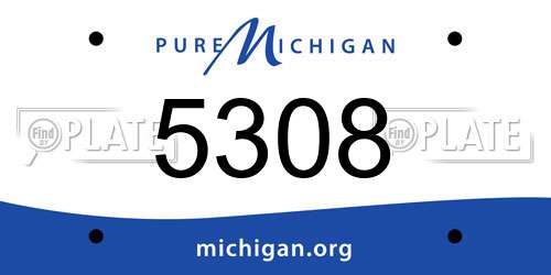 5308 Michigan License Plate