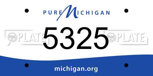5325 Michigan License Plate