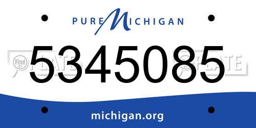 5345085 Michigan License Plate