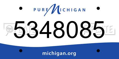 5348085 Michigan License Plate
