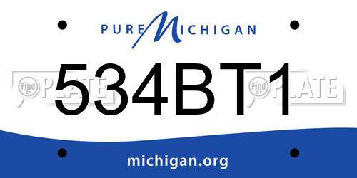 534BT1 Michigan License Plate