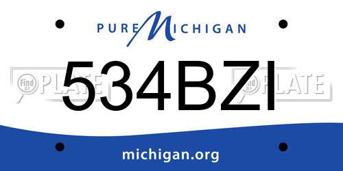 534BZI Michigan License Plate