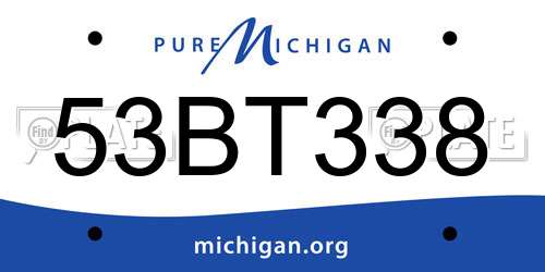 53BT338 Michigan License Plate