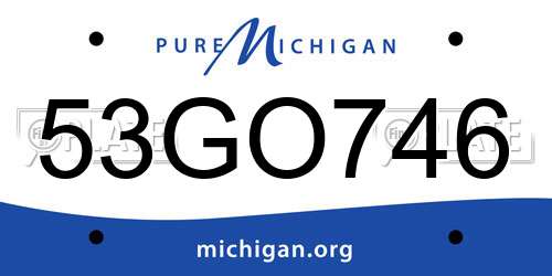 53GO746 Michigan License Plate
