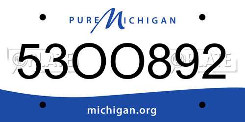 53OO892 Michigan License Plate