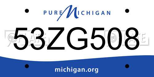 53ZG508 Michigan License Plate