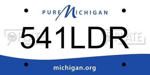 541LDR Michigan License Plate