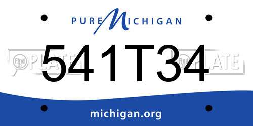 541T34 Michigan License Plate