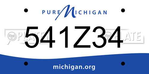 541Z34 Michigan License Plate