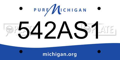 542AS1 Michigan License Plate
