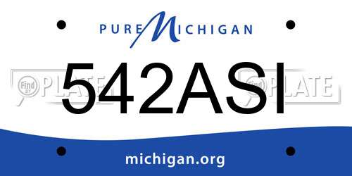 542ASI Michigan License Plate