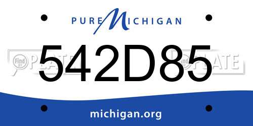 542D85 Michigan License Plate