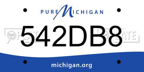 542DB8 Michigan License Plate