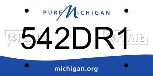 542DR1 Michigan License Plate