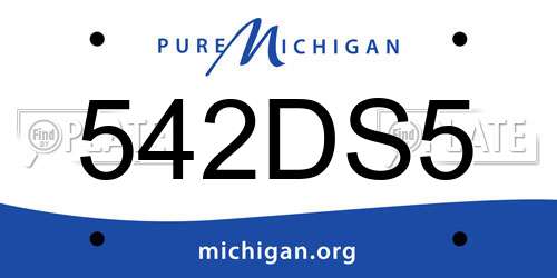 542DS5 Michigan License Plate