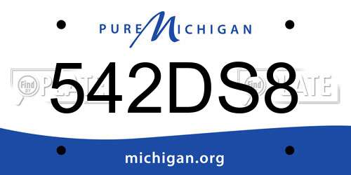 542DS8 Michigan License Plate