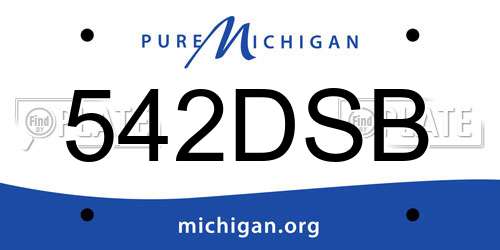 542DSB Michigan License Plate