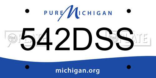 542DSS Michigan License Plate