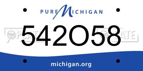 542O58 Michigan License Plate