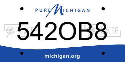 542OB8 Michigan License Plate