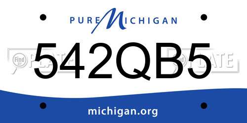 542QB5 Michigan License Plate