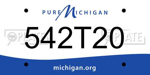 542T20 Michigan License Plate