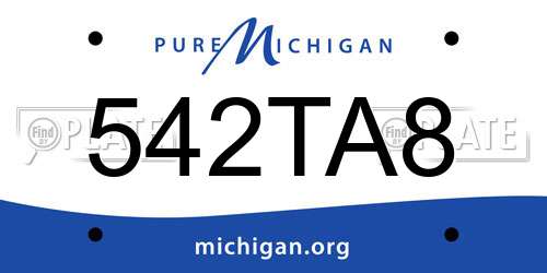 542TA8 Michigan License Plate