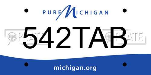 542TAB Michigan License Plate
