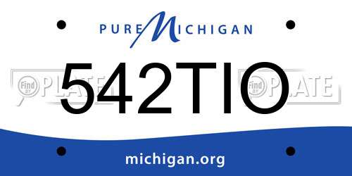 542TIO Michigan License Plate