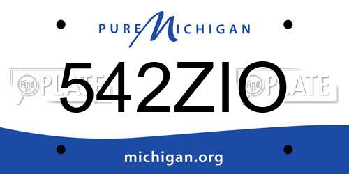 542ZIO Michigan License Plate