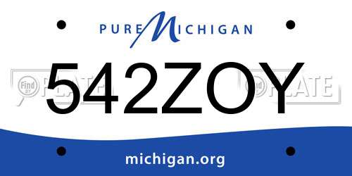 542ZOY Michigan License Plate