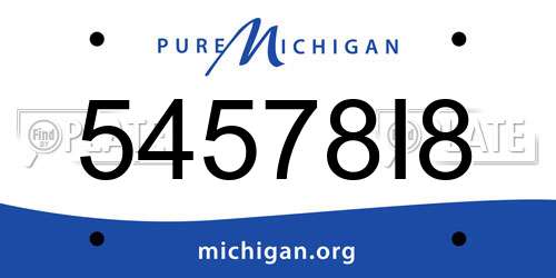 54578I8 Michigan License Plate