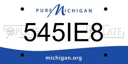 545IE8 Michigan License Plate