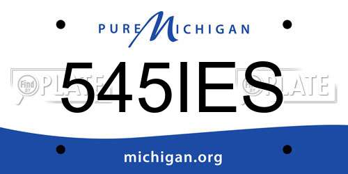 545IES Michigan License Plate
