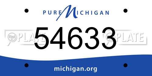 54633 Michigan License Plate