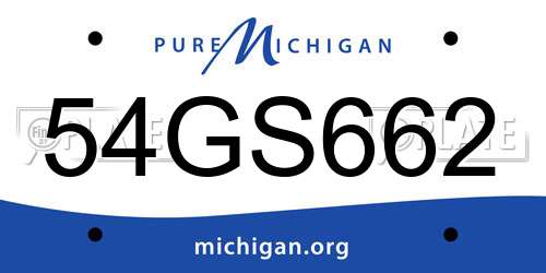 54GS662 Michigan License Plate