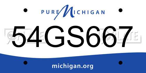 54GS667 Michigan License Plate