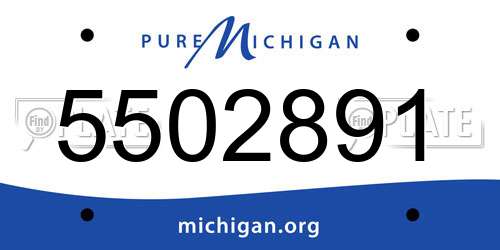 5502891 Michigan License Plate