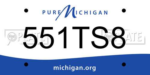 551TS8 Michigan License Plate